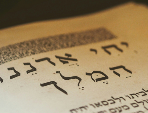 Zehn Fragen an Eva Kiesele