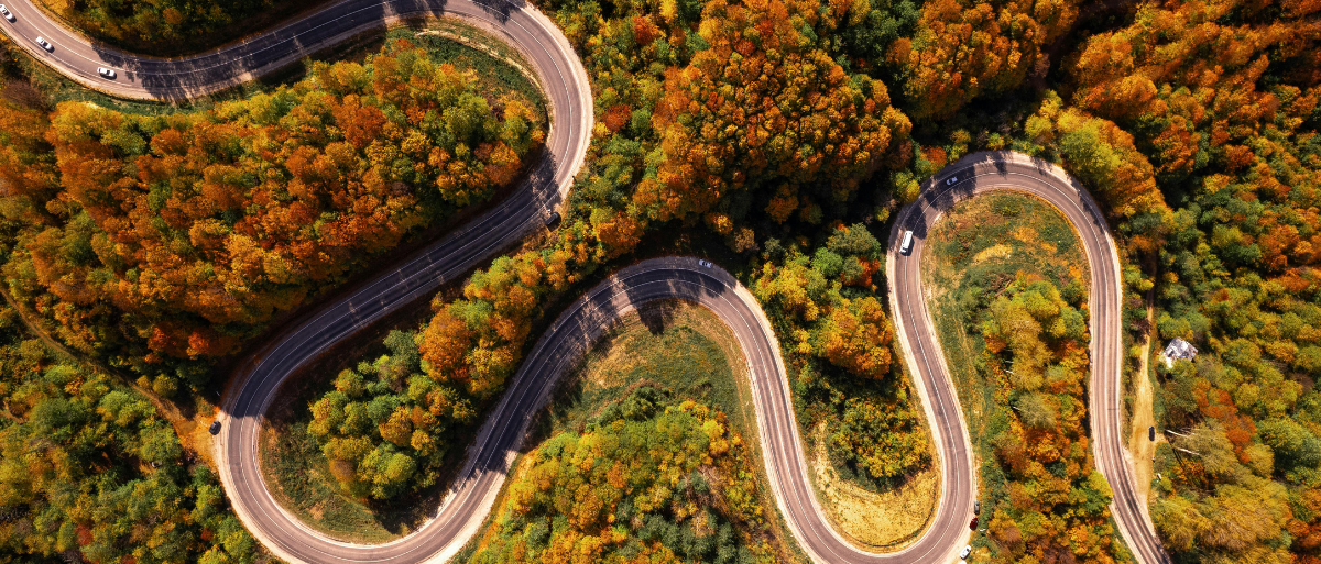 Man sieht aus der Vogelperspektive eine Straße, die sich durch einen Wald schlängelt. Die Bäume tragen buntes Laub.