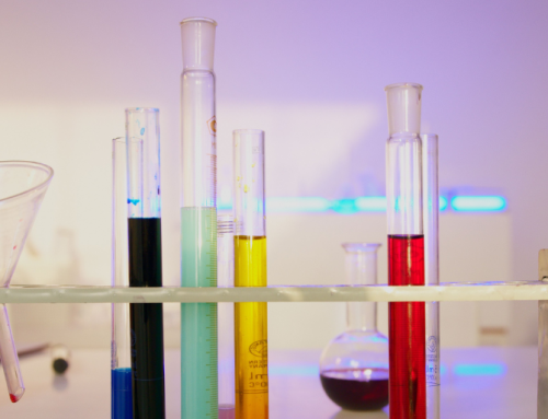 Im Experimentierfeld der Theologie – Wie Theologie Mündigkeit fördert